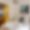 Appartement Longchamp