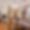 Appartement Longchamp