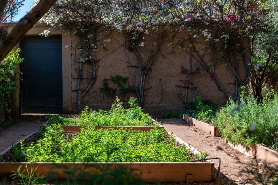 Villa Bougainvillier