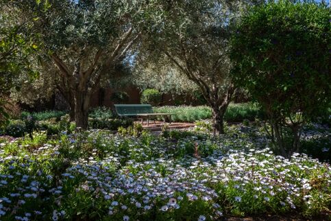 Villa Bougainvillier