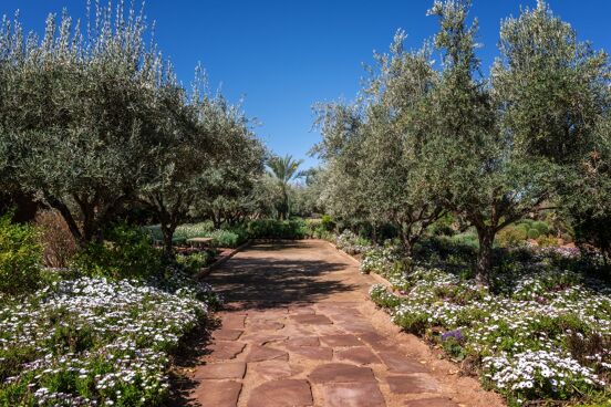 Villa Bougainvillier