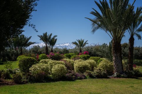 Villa Bougainvillier