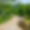 Domaine Sarlat