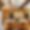 Loft Clemenceau