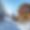 Chalet Frostwood