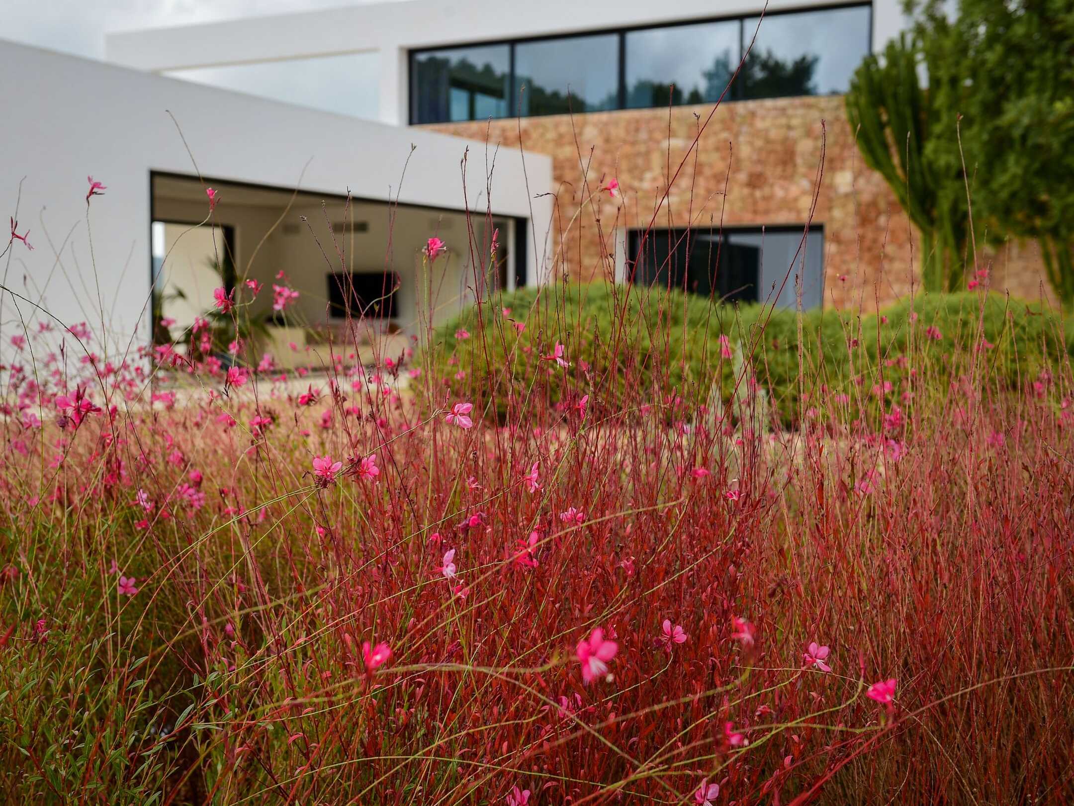 Villa Joana