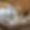 Penthouse Rond Point Des Pistes 701