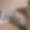 Appartement Nanuq