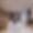 Appartement Nanuq
