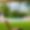 Villa Solstice Retreat