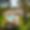 Villa Solstice Retreat