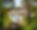 Villa Solstice Retreat