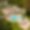 Villa Solstice Retreat