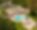 Villa Solstice Retreat