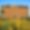 Fattoria Archi