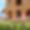 Fattoria Archi