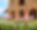 Fattoria Archi