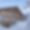 Chalet Le Bon Air