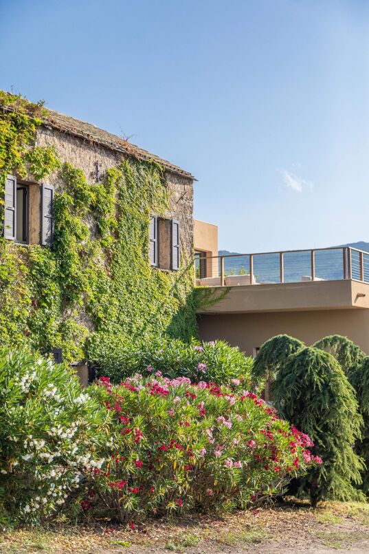 Casa Casta