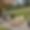 Chalet La Forge