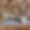 Chalet La Forge