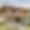 Chalet La Forge