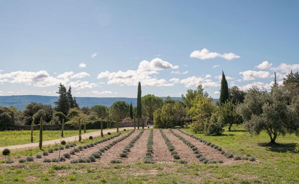 Le Hameau des Bories