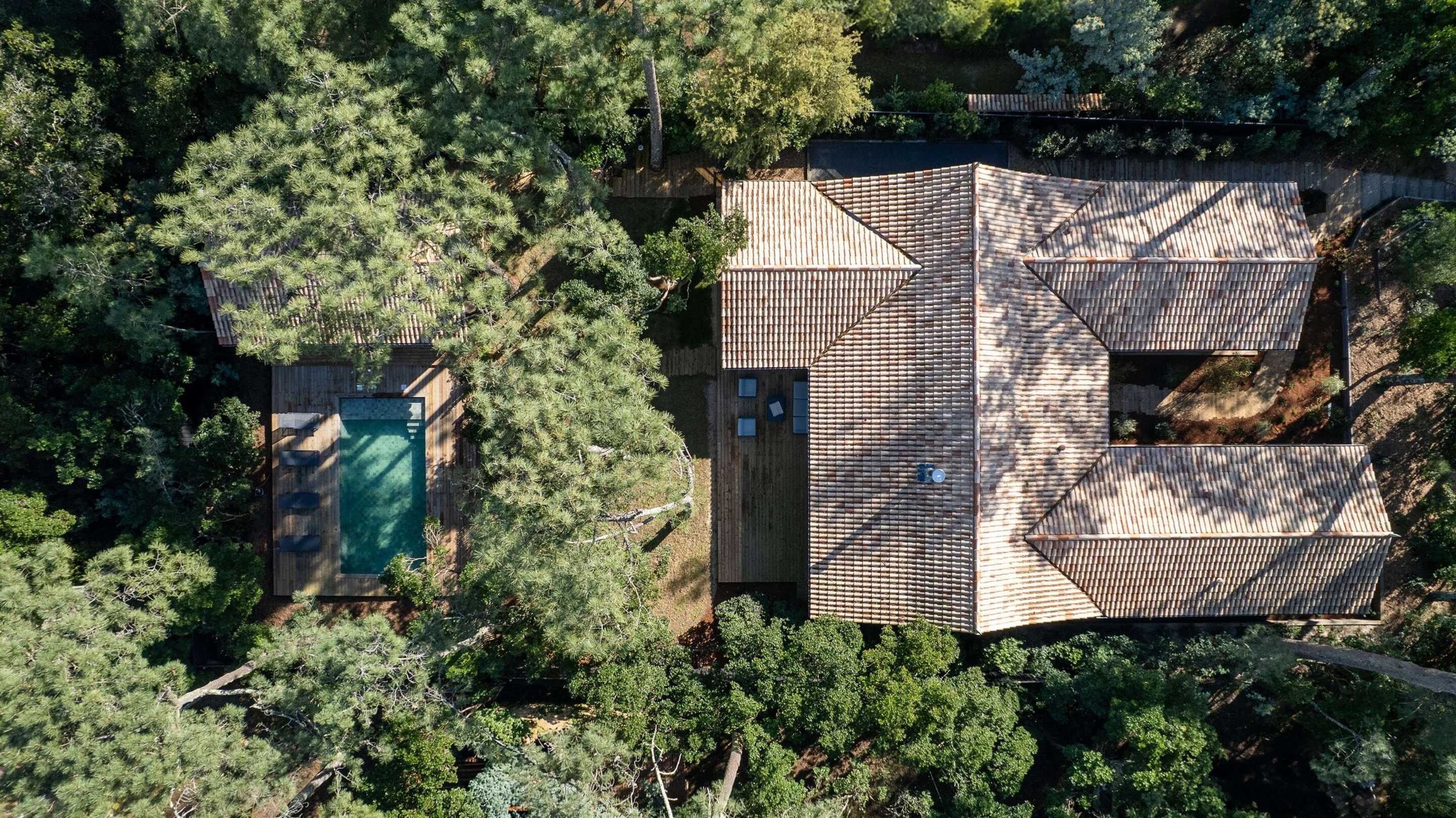 Villa des Mimosas
