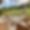 Chalet Crosshaven
