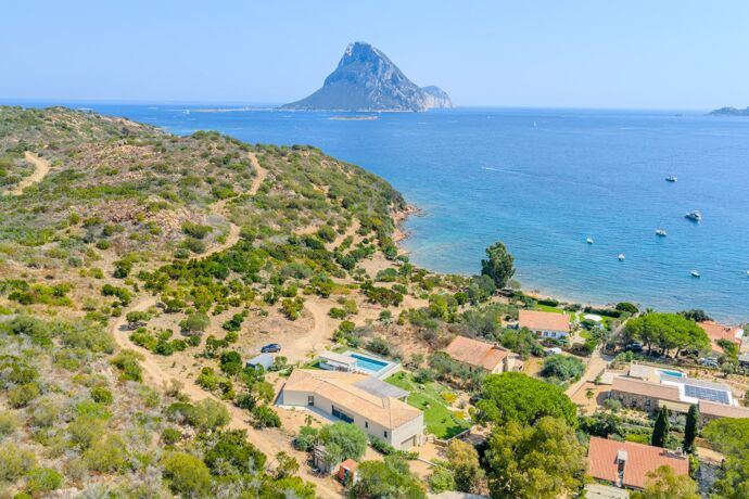 Villa Viviana