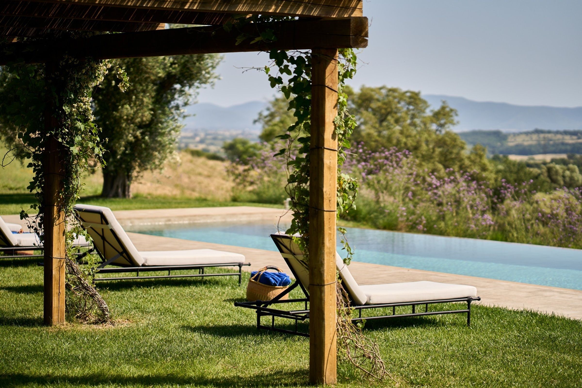 Tenuta Uliveta