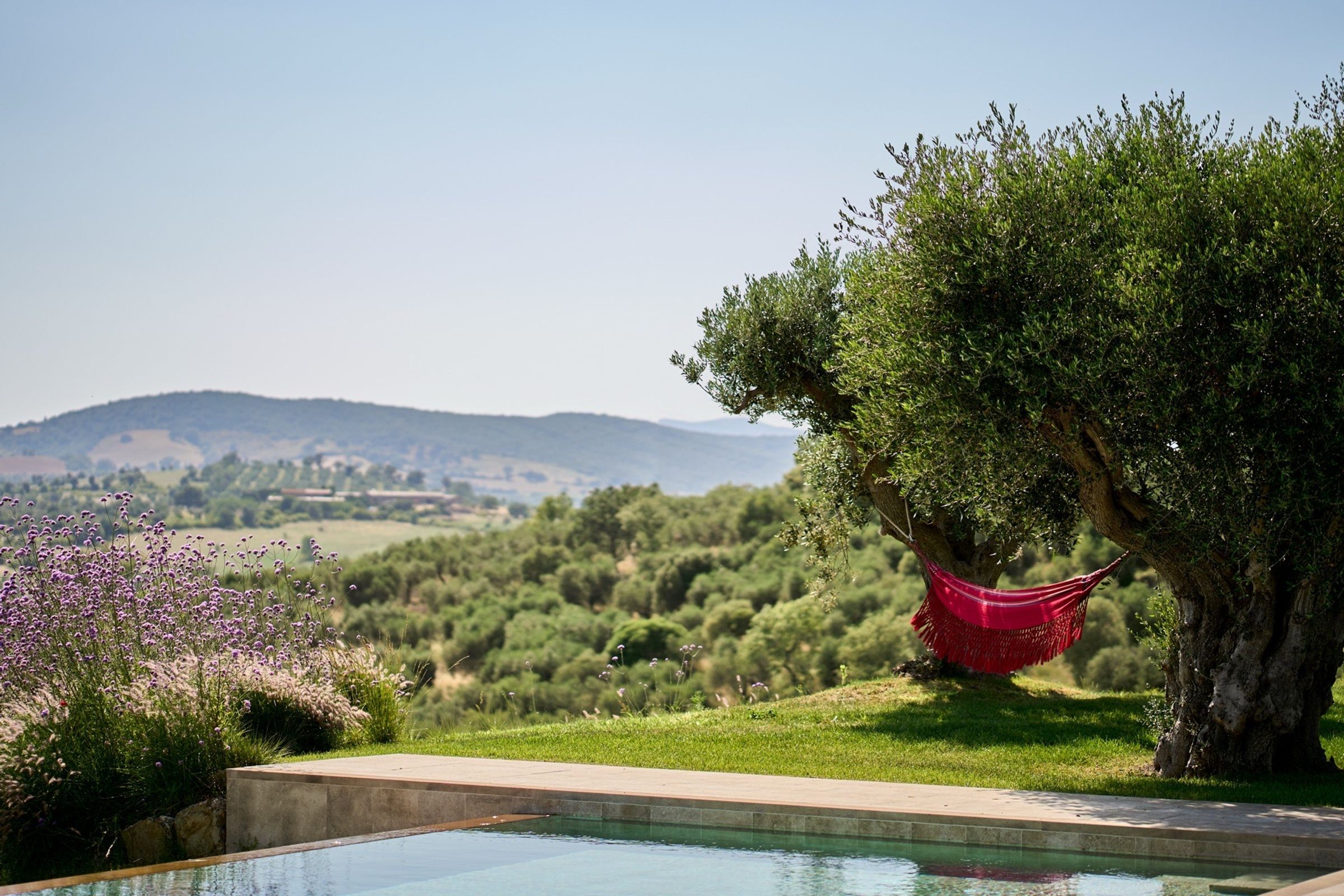 Tenuta Uliveta