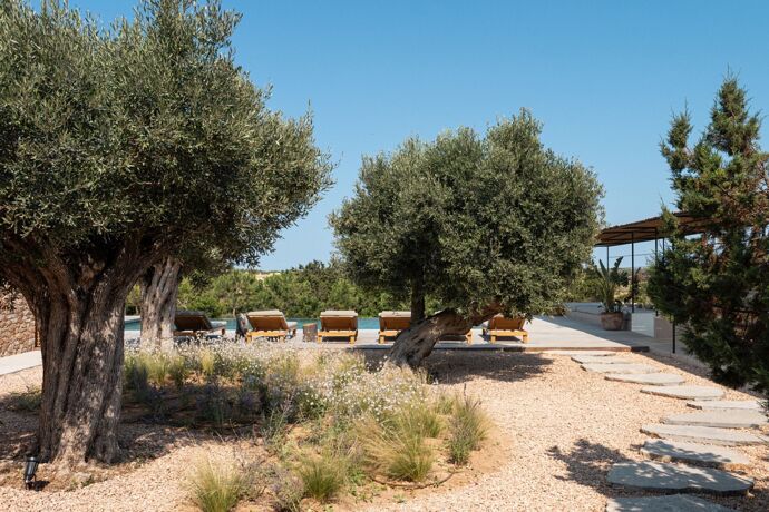 Villa Ayla