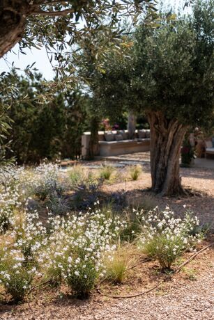 Villa Ayla