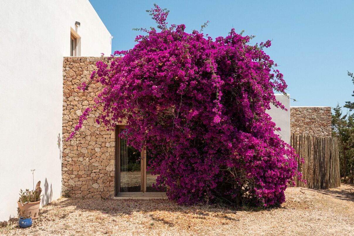 Villa Ayla
