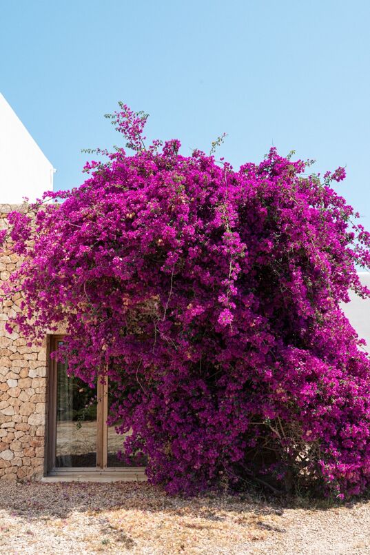 Villa Ayla