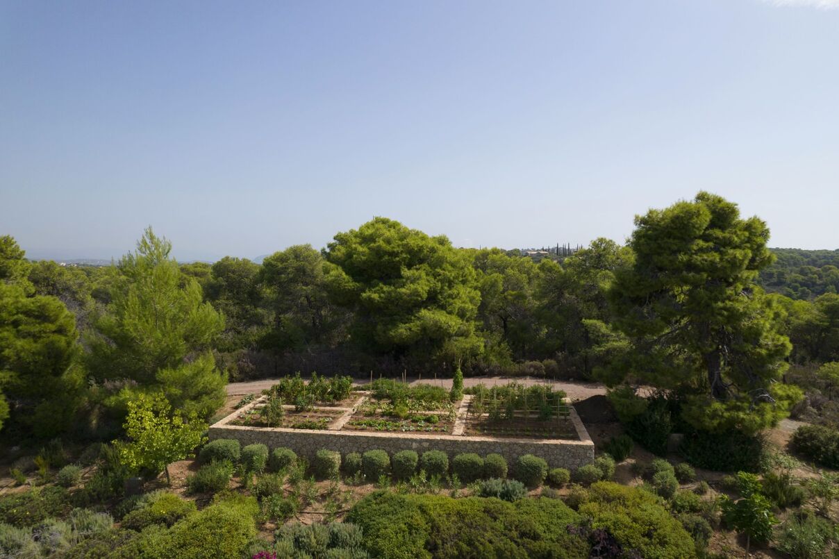 Villa Cleone