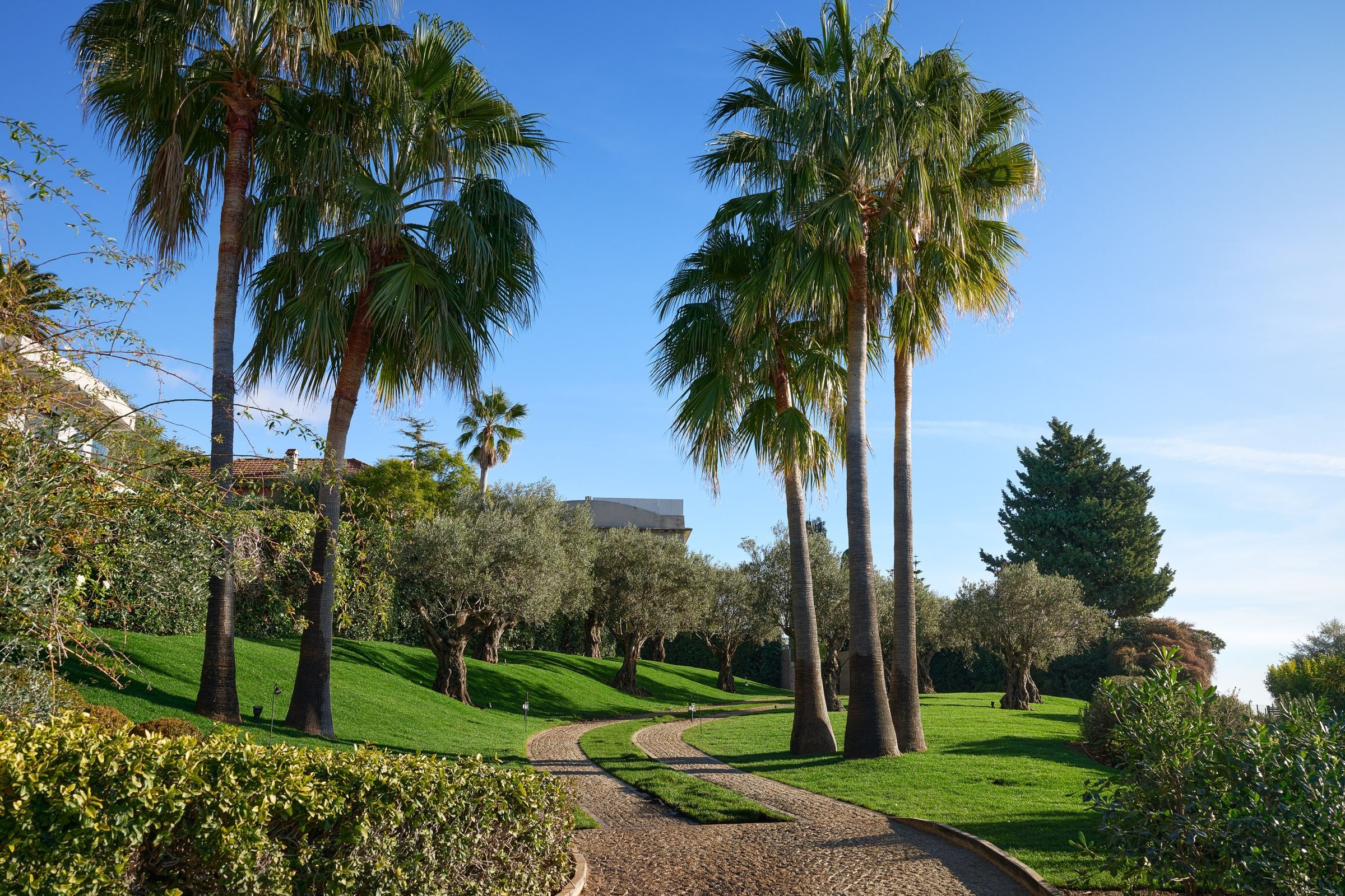 Villa Ciena