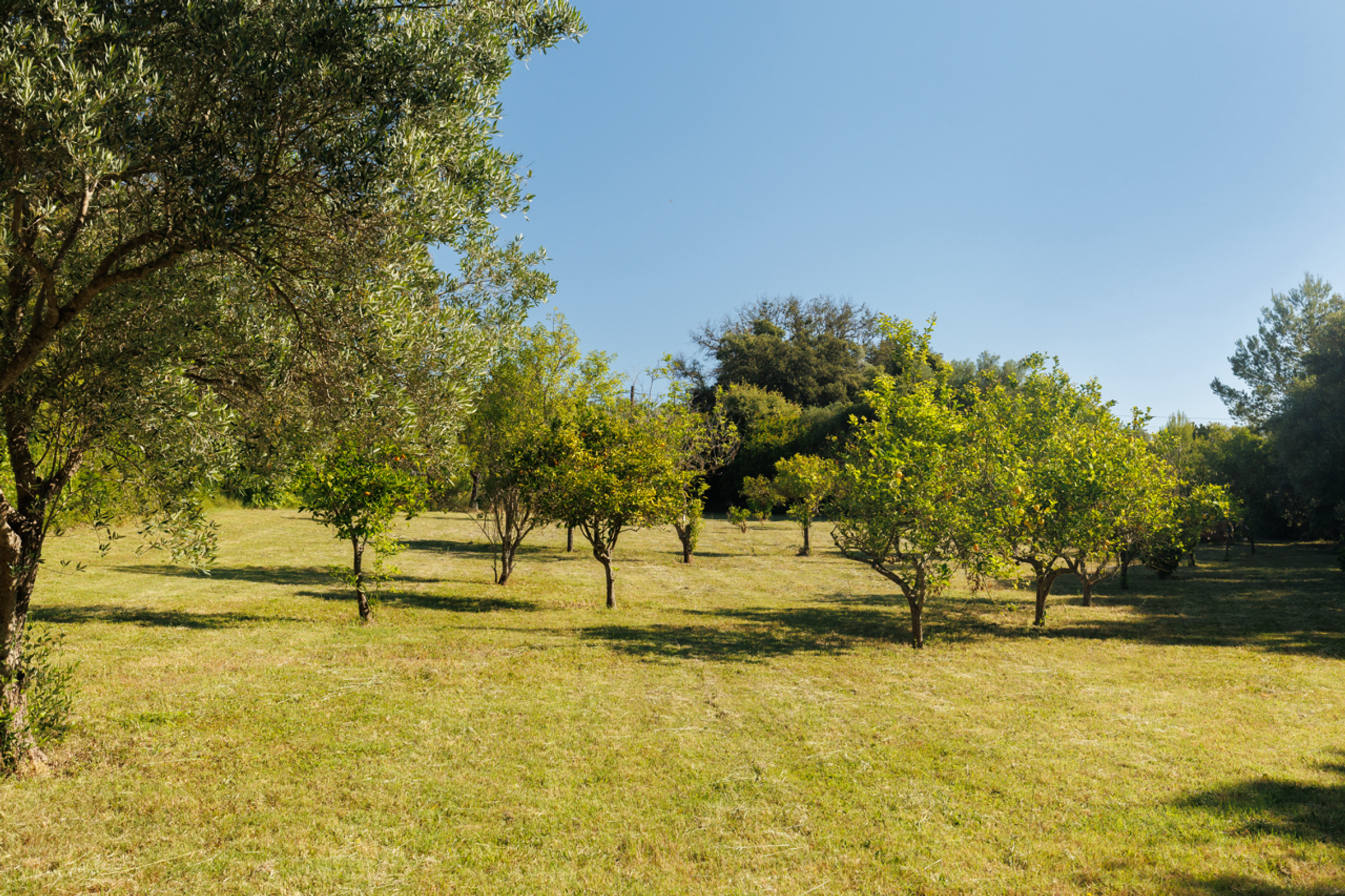 Villa Pip