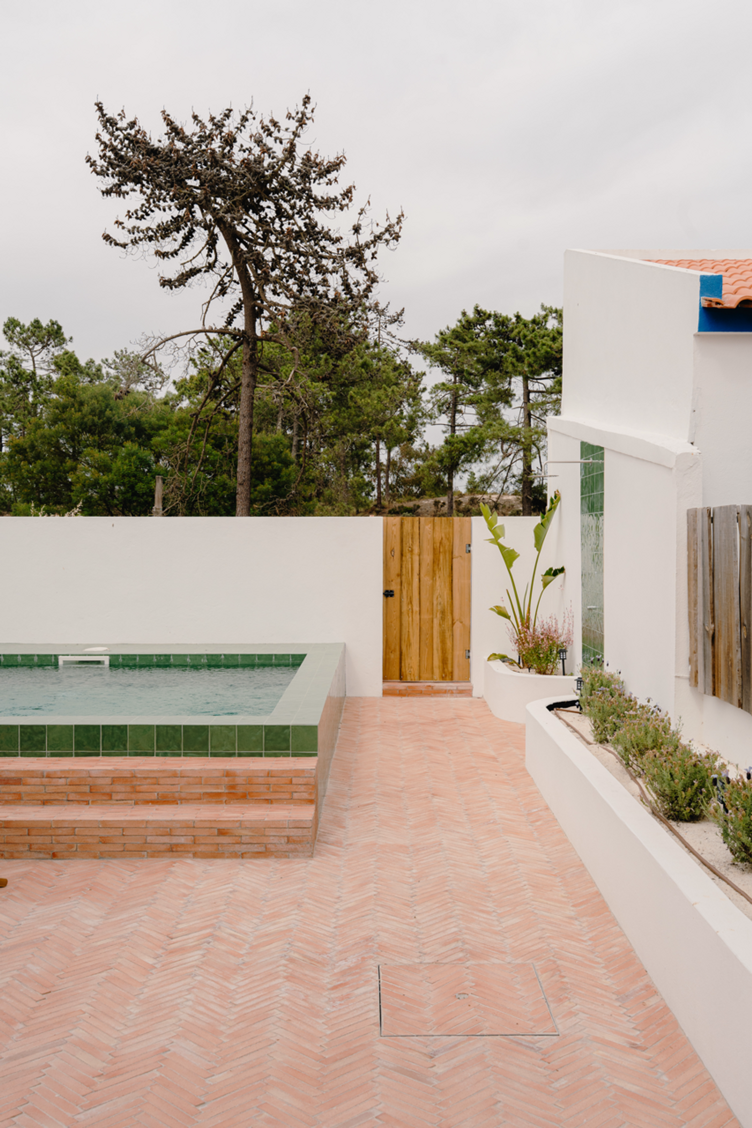 Casa Ninho