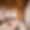 Chalet Sequoia