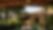 table-dressee-sous-la-pergola-d-une-maison-ancienne-en-toscane