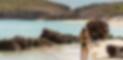 jeune-femme-en-maillot-de-bain-marchant-sur-une-plage-deserte-de-saint-barth-dans-les-caraibes
