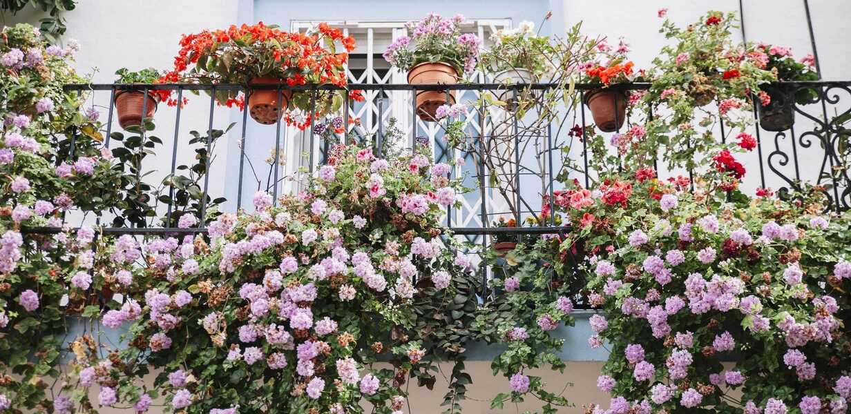 flowers and flower pots outside home in andalusia