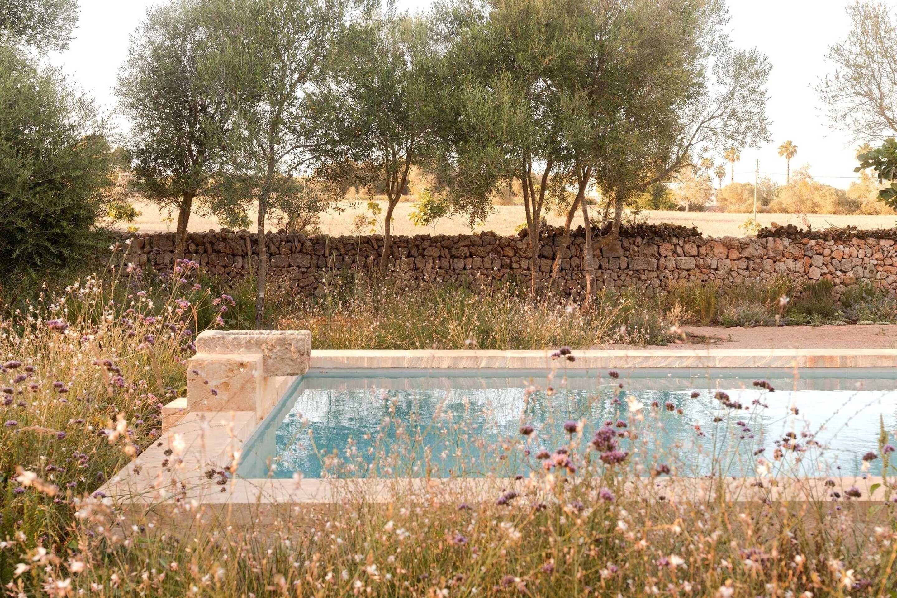 swimming-pool-on-a-stone-floor-surrounded-by-lounge-chairs-umbrellas-and-greenery