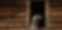 chien-assis-a-la-fenetre-ancien-chalet-en-bois-val-d-isere