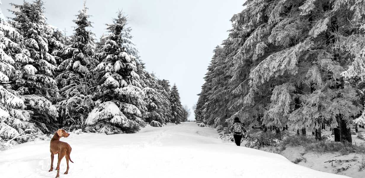 St Anton