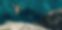 dive-sea-turquoise-cliff-luxury-villa-Croatia