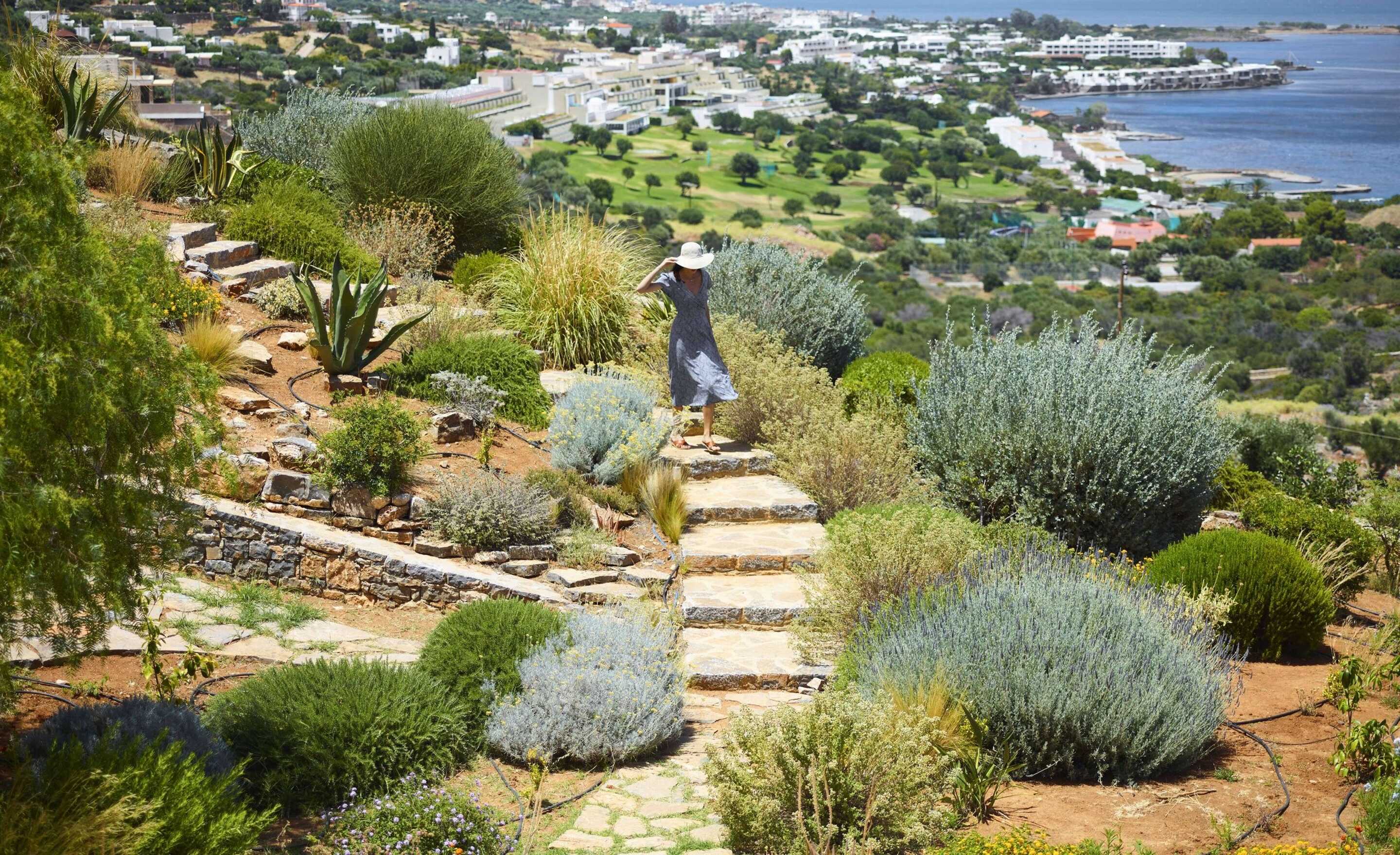 sentier verdoyant colline Crete mer azur