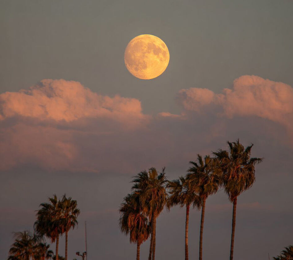 Marrakech et Alentours